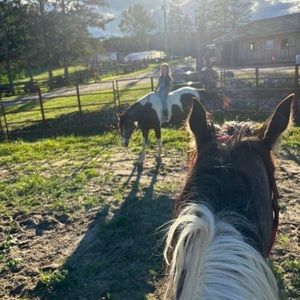 Meet your Posher, Jackie